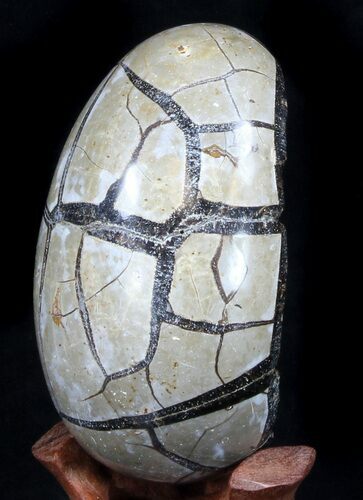 Septarian Dragon Egg Geode - Crystal Filled #37358